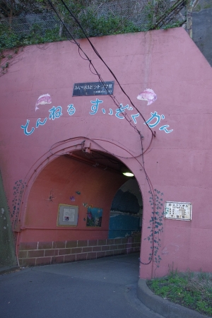 トンネル水族館