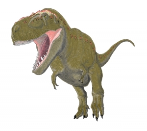 T･rex 002