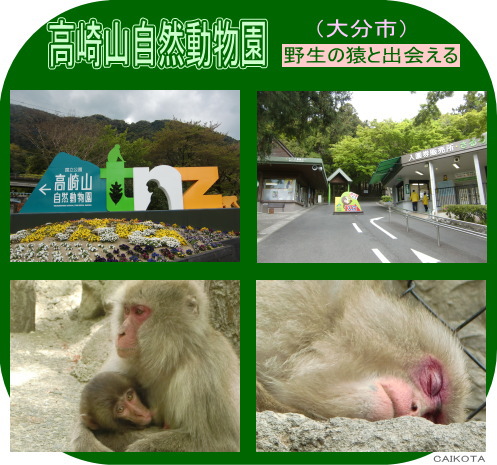 村上功一の風まかせ旅 <b>高崎山自然動物園</b>（<b>大分市</b>）