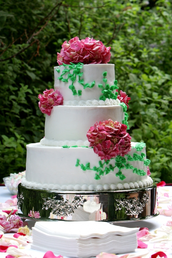 Easy Cake Decorating Ideas - Cake Decoration Tips and ...