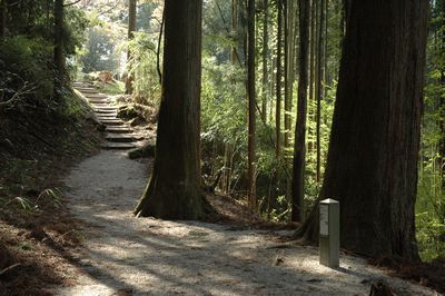 金峯神社～義経隠塔の道