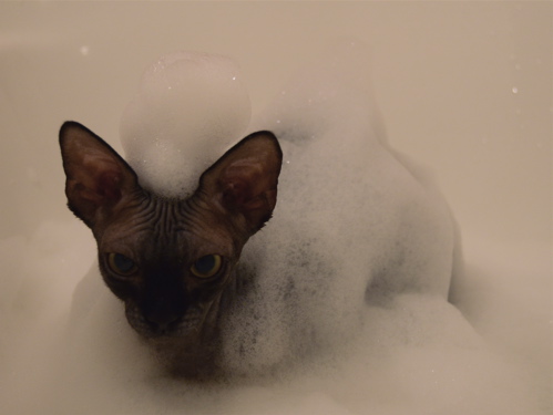 bath 3
