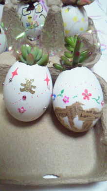 アーティストママのつれづれ日記-卵の殻のコンテナガーデン