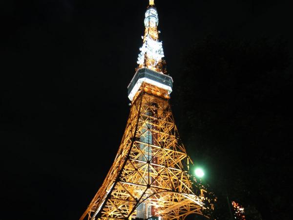 東京タワー9〔フリー写真〕