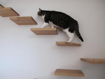 「猫　階段」の画像検索結果