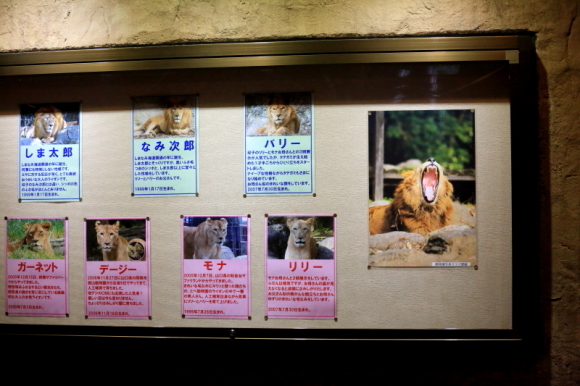 動物園写真クラブの定例会