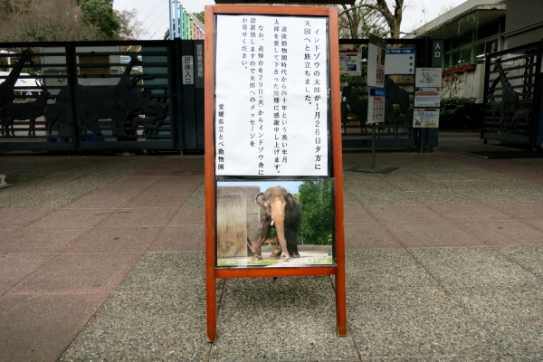 とべ動物園を応援する写真クラブのブログ-とべ動物園インドゾウの太郎くんありがとう