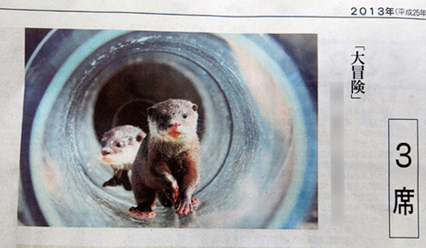 とべ動物園を応援する写真クラブのブログ-愛媛新聞「読者の写真」のコーナーにて３席受賞