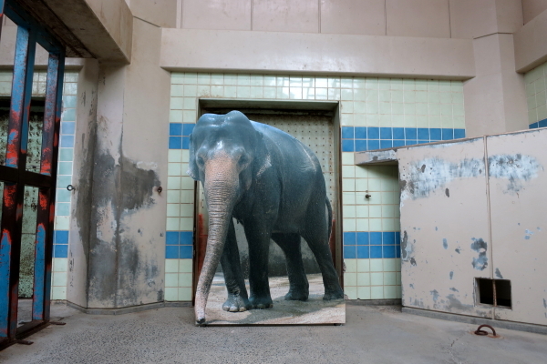 とべ動物園を応援する写真クラブのブログ-ゾウさんの写真パネル