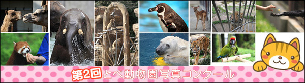 とべ動物園を応援する写真クラブのブログ