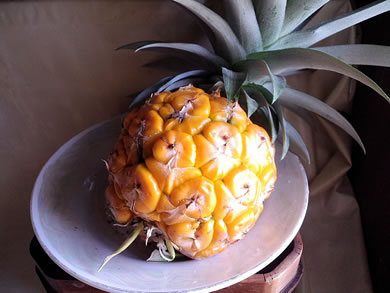 pineapple100908.jpg