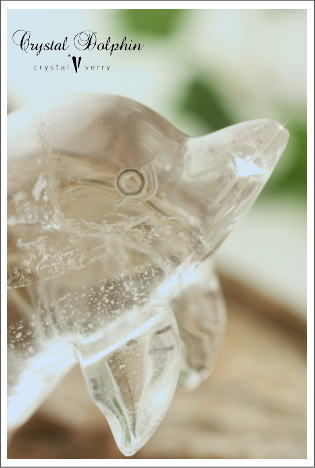 crystal-verry*　クリスタルベリー　*･オーナーのブログ・*-水晶のイルカ