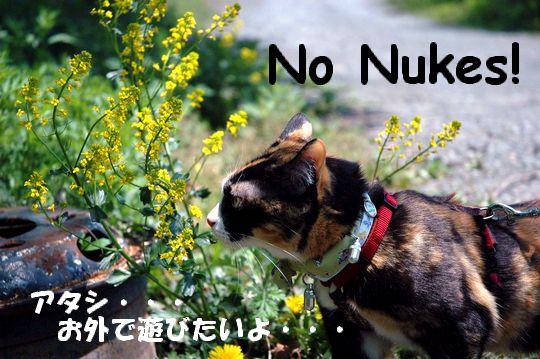 No_Nukesろ_0803b