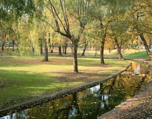 秋の札幌の公園