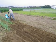 ［写真］三郎さんが耕耘機で畑を耕しているところ