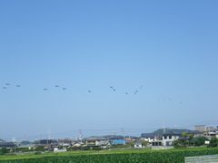 ［写真］農園西側の空を飛ぶヘリコプターの隊列