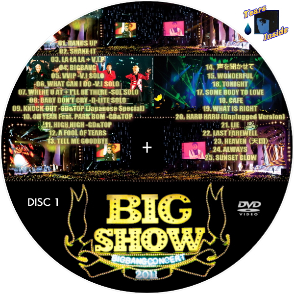 2011 BIGBANG LIVE CONCERT （限定盤）