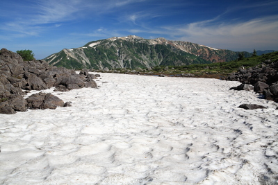 雪渓と薬師岳