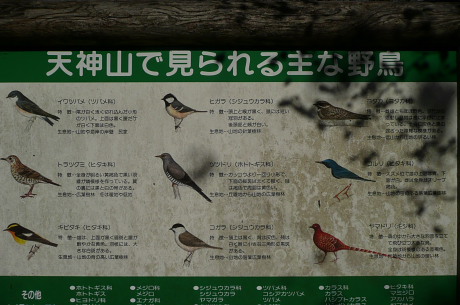 野鳥の解説板