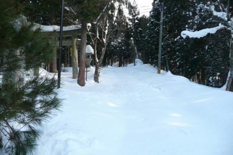 新雪の林道