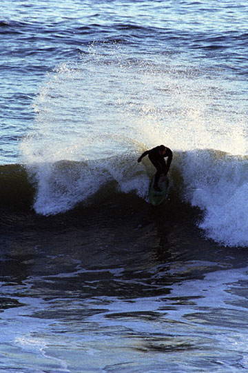 blog Surfer 34, Santa Cruz-12.18.02